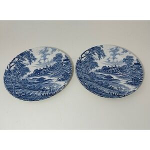 Ridgway Meadowsweet Ironstone Blue White Transferware Plates Staffordshire Set 2